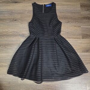 Rustic Royals Womens Small Fit and Flare Dress Black Striped Mesh Sleeveless